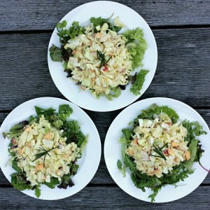 Witlofsalade met gerookte kip en nectarine